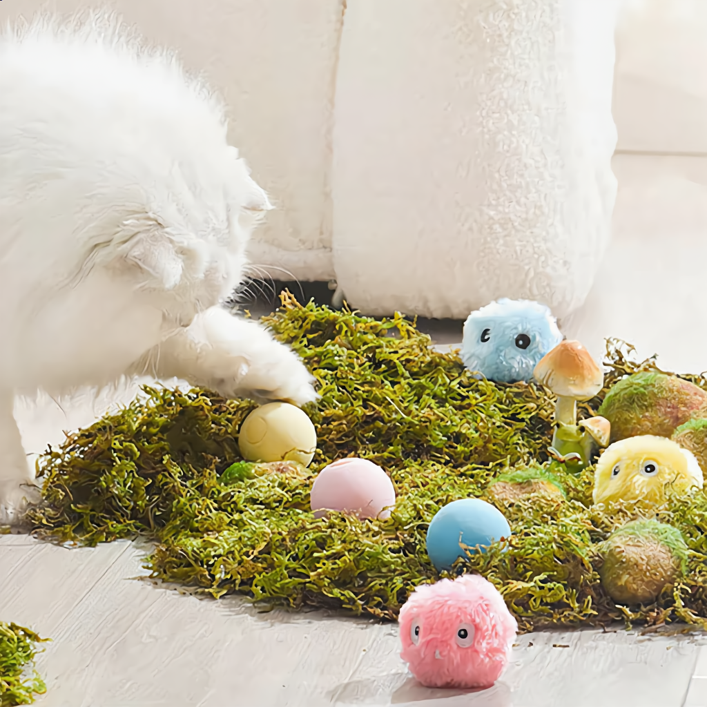 Interactive Chirping Cat Ball Toy — Electric Motion Squeaky Play