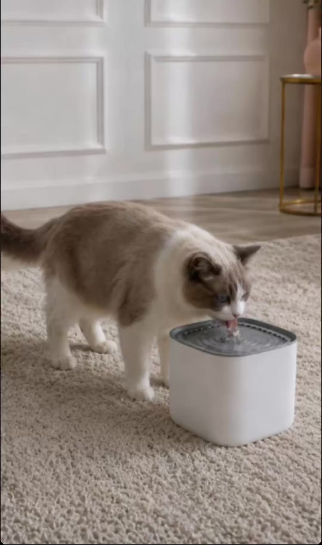 Cat Water Fountain — Silent Automatic Filter 3L USB
