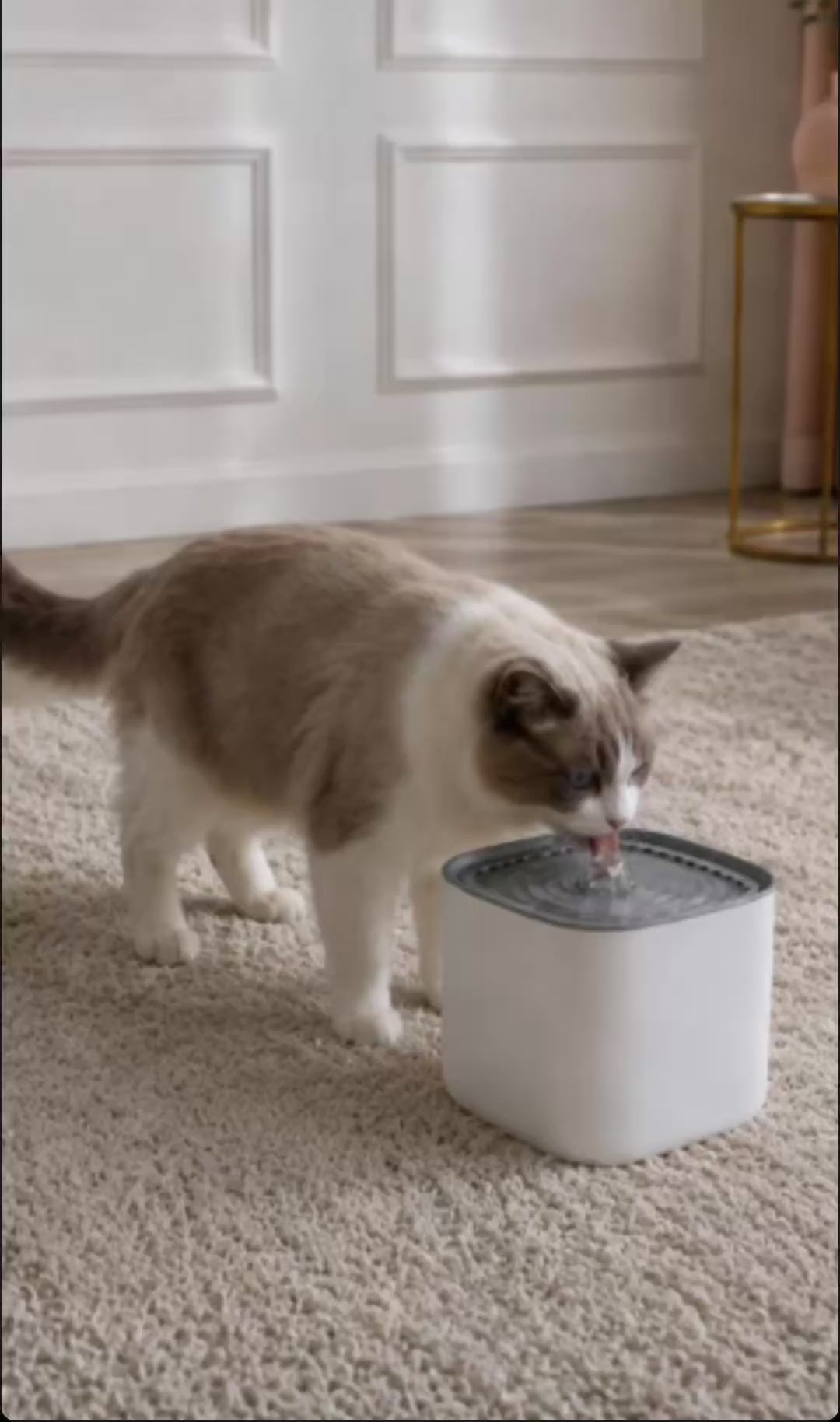 Cat Water Fountain — Silent Automatic Filter 3L USB